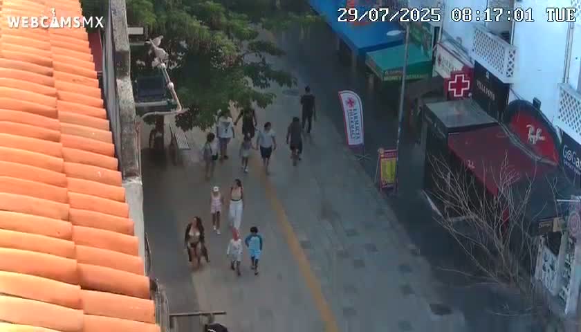 Nuevo Vallarta, Alamar Vallarta Playa La Manzanilla Beach Live Cam - Bahia de Banderas, Nayarit, Mexico