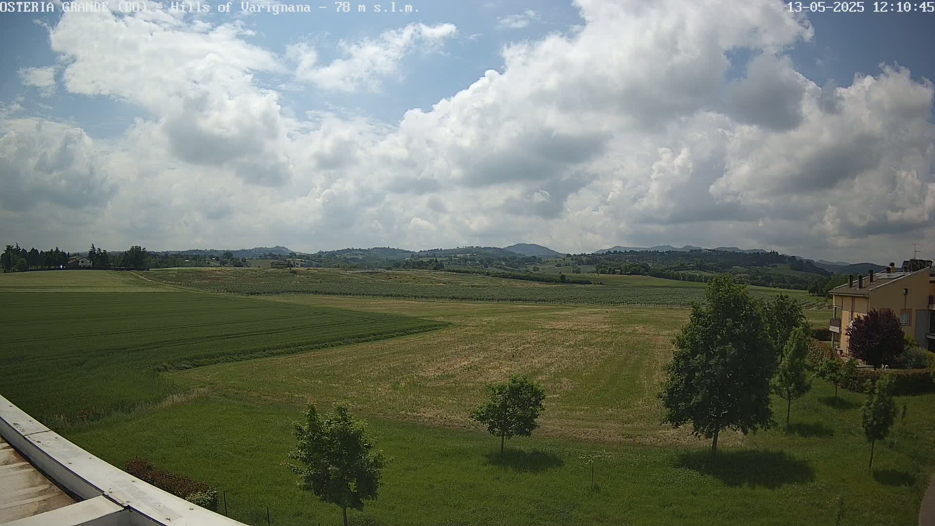 A partly cloudy sky overlooks a flat, expansive field of green crops, a few trees, and distant hills.
