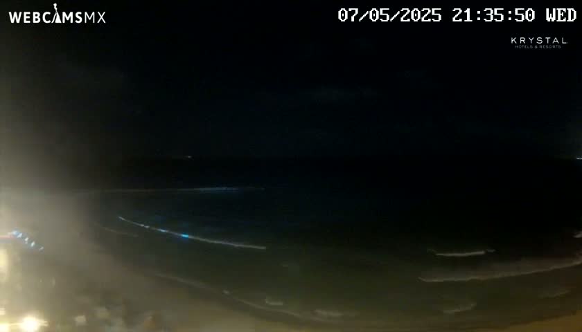 A nighttime view shows dark ocean waves lapping a shoreline under a clear, dark sky.