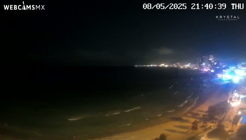 A nighttime beach scene shows gently lapping waves on a sandy shore, with city lights illuminating the horizon in the distance under a dark sky.