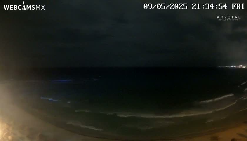 A nighttime view of a dark ocean with small waves lapping a shore under a cloudy sky.