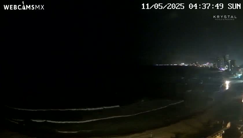 A dark night scene shows gentle waves lapping a beach in front of a dimly lit city skyline.
