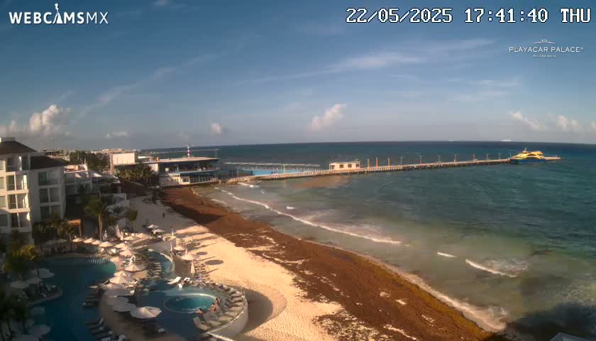 A partly sunny day shows a beach with brown seaweed, a resort with pools, and a pier with a ferry in the ocean.
