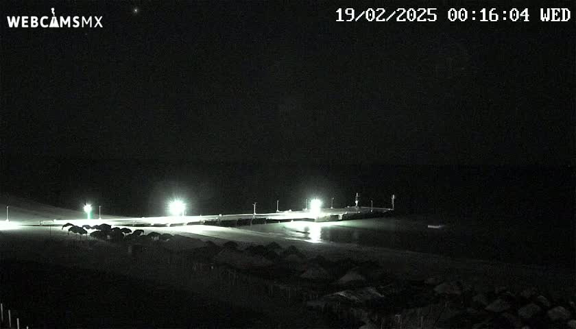 A nighttime, low-light view of a pier illuminated by lights, with a dark, calm body of water and a collection of dark objects on the shore in the foreground.