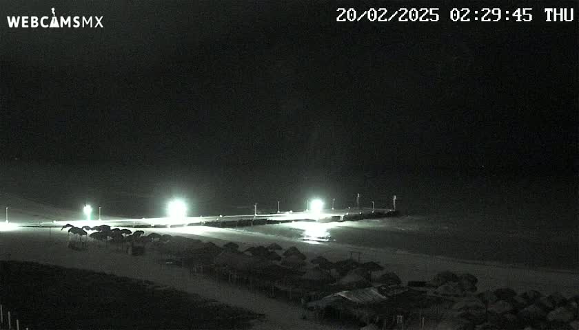 A nighttime beach scene shows a dark ocean, illuminated beach, and rows of closed umbrellas under a clear, dark sky.