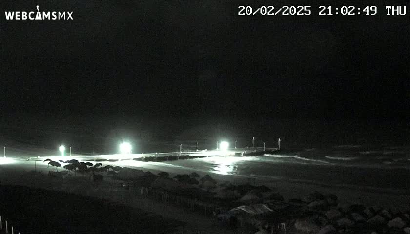 A nighttime beach scene shows a dark ocean with small waves under a clear, dark sky, illuminated by lights on a pier and along the shore.