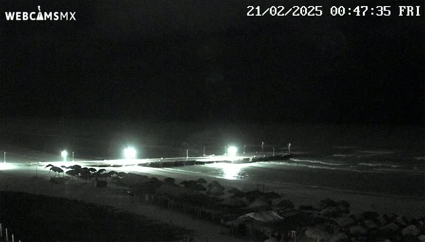 A nighttime beach scene shows gently rolling waves under a dark sky, illuminated by lights along a pier and on the beach where structures are visible.