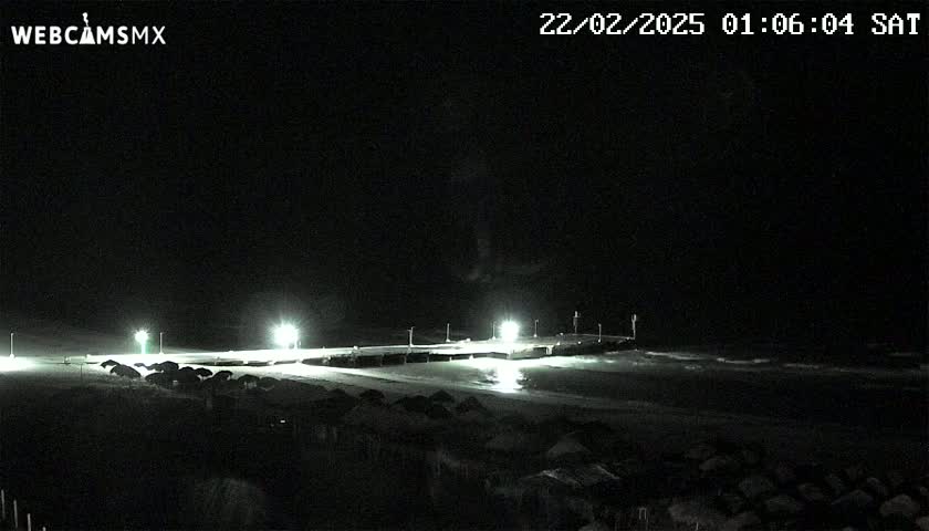 A brightly lit pier and beach are visible at night under a dark, clear sky.