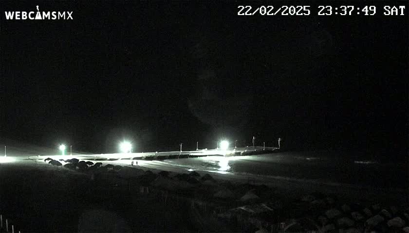 A nighttime view of a beach with a pier illuminated by lights, under a clear, dark sky.