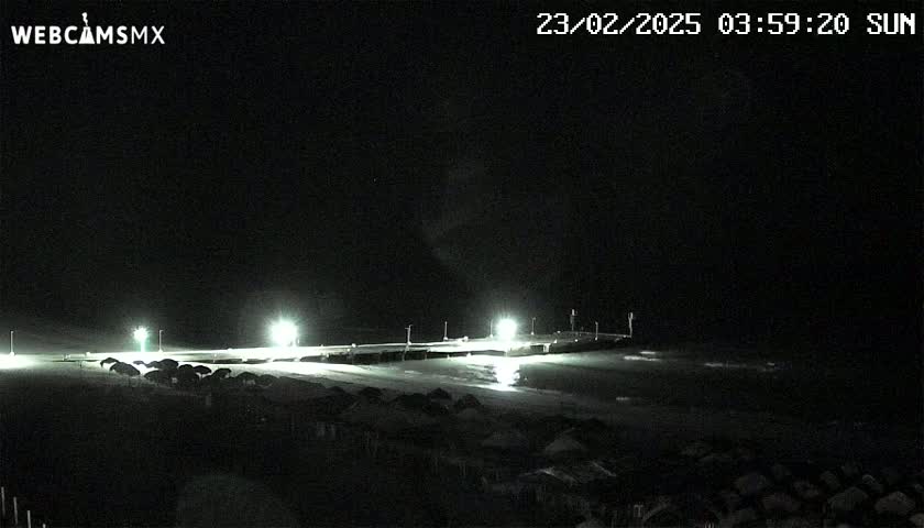 A nighttime, brightly lit pier stretches across a dark, seemingly calm body of water, with numerous dark objects, possibly beach umbrellas, clustered on the sand.