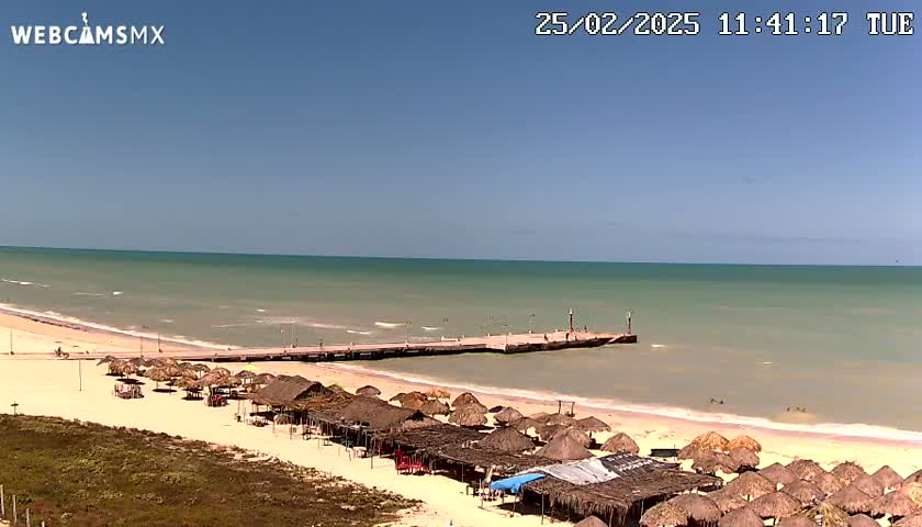 A beach with calm, light-green water, a long pier, and numerous thatched-roof beach umbrellas under a clear blue sky.