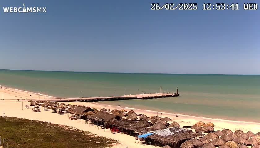 A sandy beach with numerous thatched-roof umbrellas stretches alongside a calm, light-green ocean, featuring a pier extending into the water under a clear blue sky.