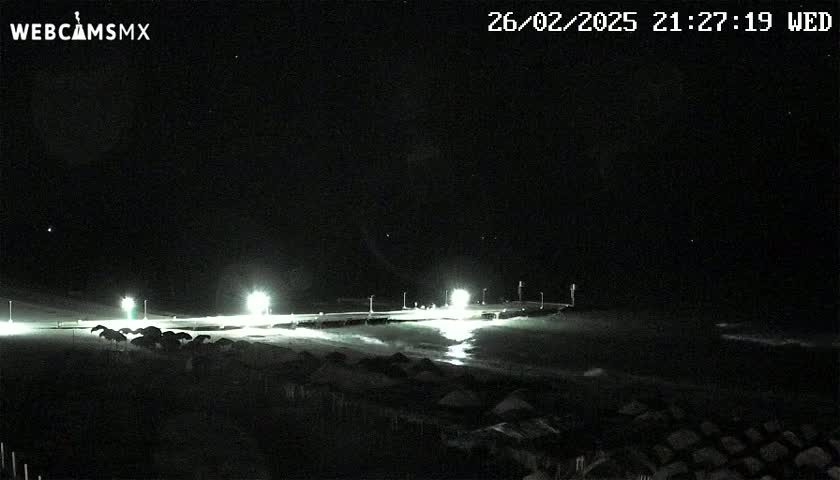 At night, a lit pier extends over dark, wavy water, with dark shapes, possibly beach umbrellas, lining the shore under a clear, starry sky.