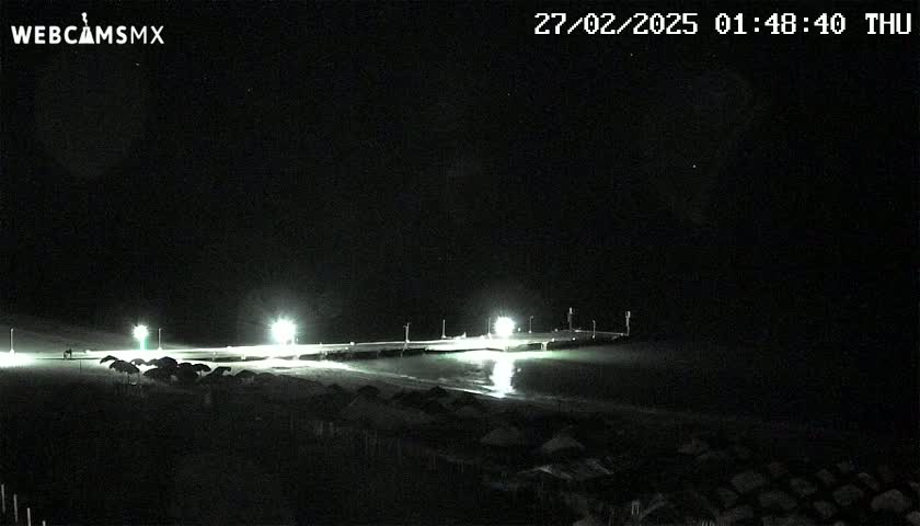 A nighttime view of a beach with a pier illuminated by lights, under a clear, dark sky.
