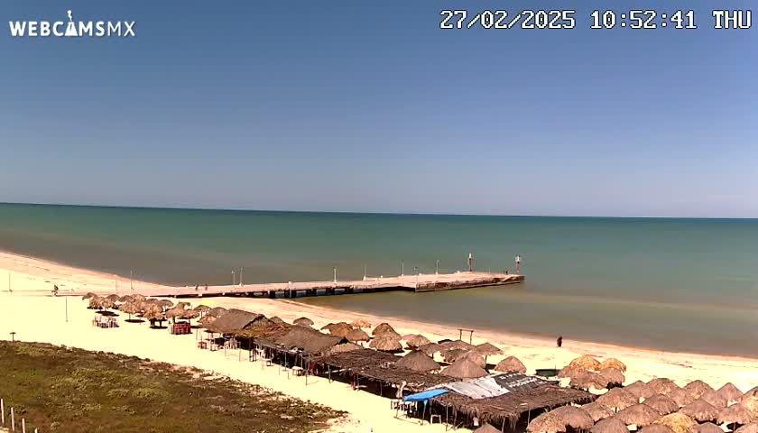 A sandy beach with numerous thatched umbrellas and a pier extends into a calm, light-green ocean under a clear blue sky.