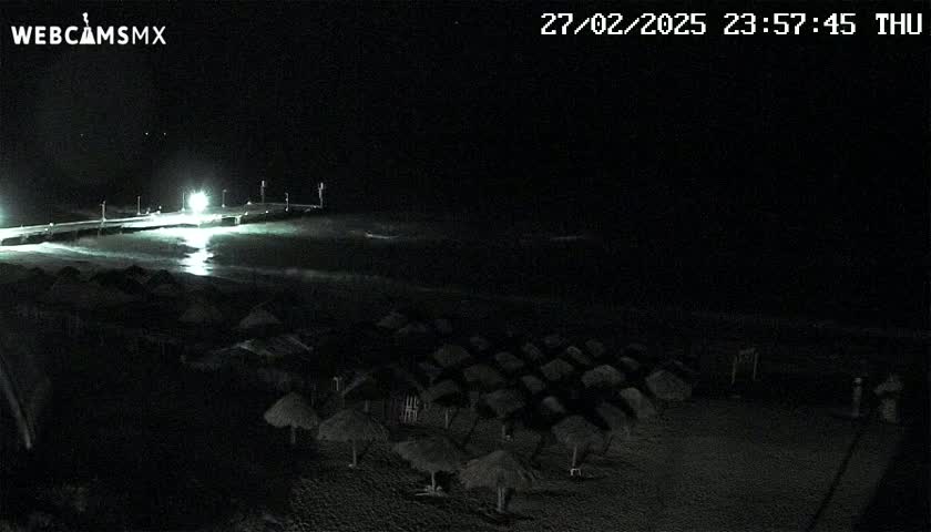 A nighttime beach scene shows a dark ocean with gentle waves lapping a shore lined with numerous small, dark structures, possibly beach umbrellas, under a clear, dark sky.