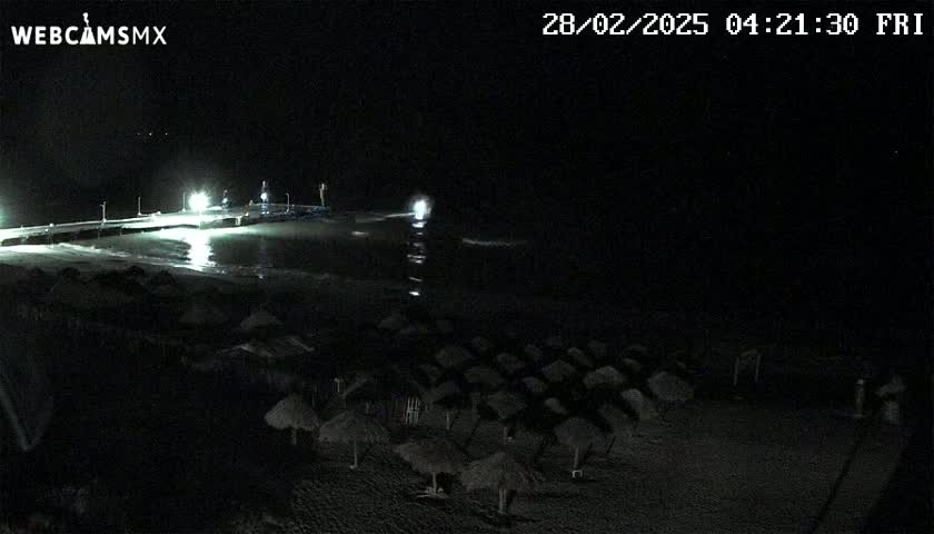 A nighttime beach scene shows a dark ocean with gentle waves lapping at the shore, a pier with lights, and numerous dark beach umbrellas spread across the sand.