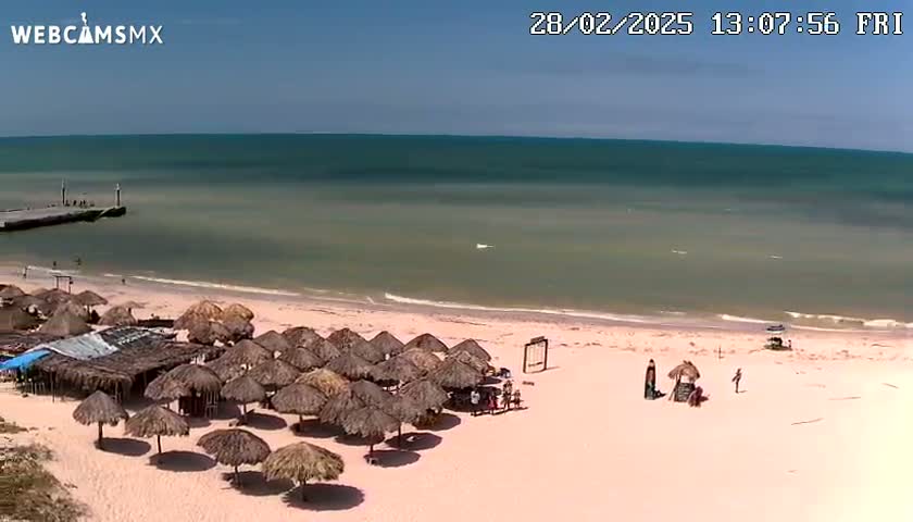A beach with calm, light-green water under a clear blue sky features numerous thatched-roof beach umbrellas and a small pier in the distance.