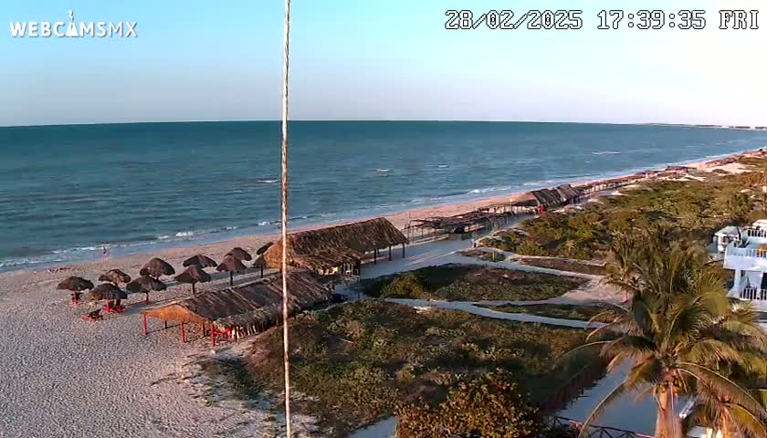 A sandy beach with calm ocean waters and thatched-roof beach umbrellas under a clear, sunny sky.