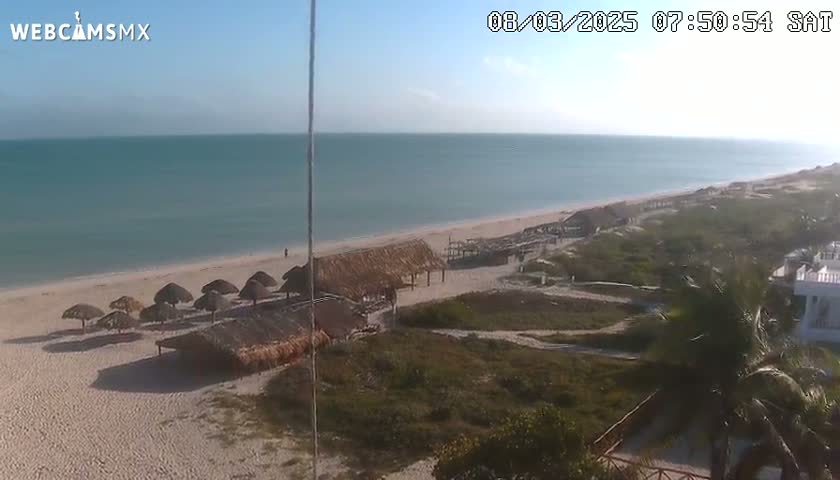 A beach with thatched-roof huts and calm, light-blue ocean under a clear sky is shown from an elevated vantage point.