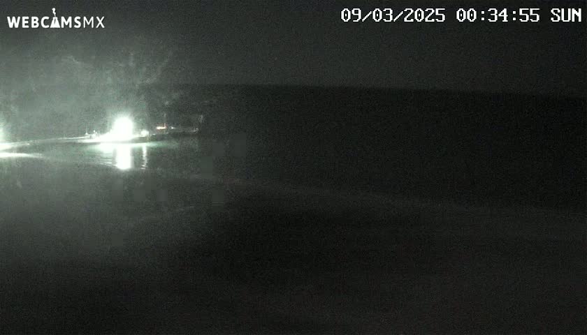 A nighttime, low-light view of a body of water with a shoreline and faint lights in the distance.