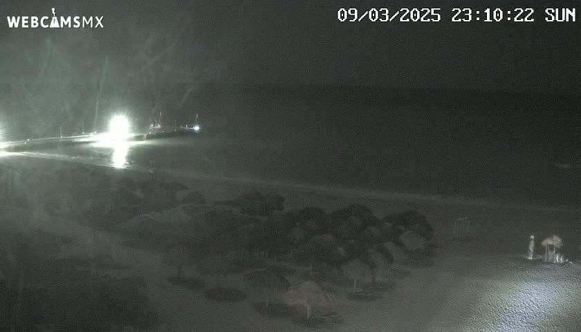 At night, a beach with numerous dark beach umbrellas is visible, along with a body of water, a distant light source, and a single person standing near some vegetation.