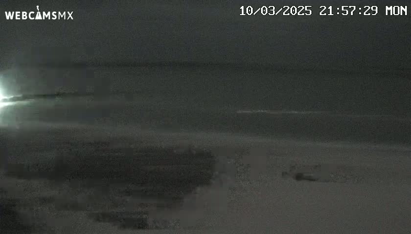 A nighttime, low-light image shows a dark, flat expanse possibly of land or water with a bright light source on the left.