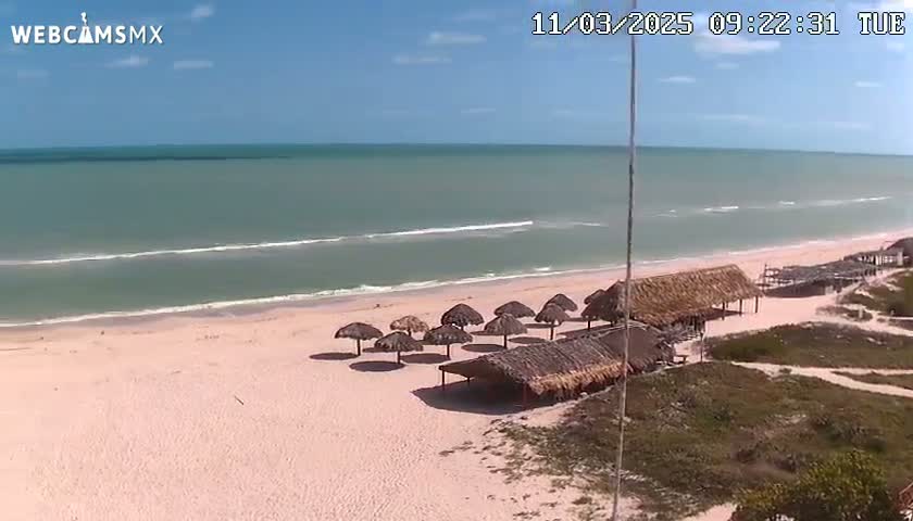 A pink sandy beach with several thatched-roof structures and umbrellas sits beside a calm, light-green ocean under a clear blue sky.
