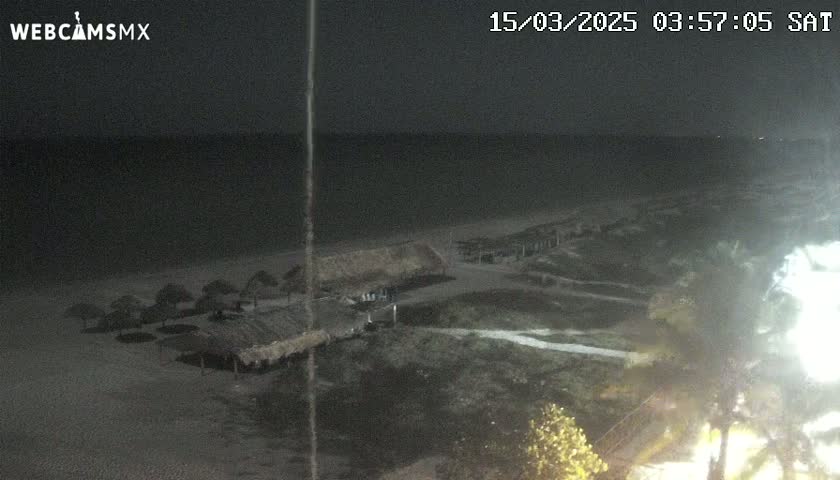A nighttime beach scene shows dark ocean water, a sandy shore with thatch-roofed structures, and vegetation under a clear, dark sky.