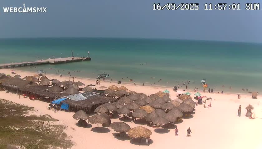 A sandy beach with numerous thatched umbrellas and beachgoers is seen next to a calm, light-green ocean, and a pier extends into the water under a mostly clear sky.