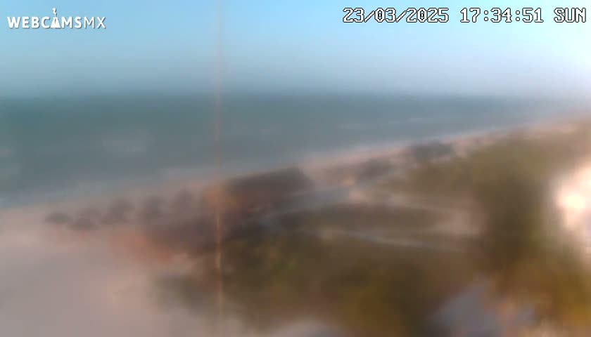 A hazy, blurry view shows a beach with a calm ocean and some vegetation in the foreground under a clear sky.