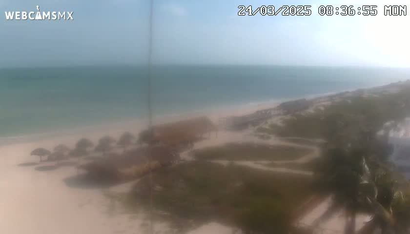 A hazy, high-angle view shows a sandy beach with several small structures near the water's edge, vegetation behind the beach, and a calm, light-green ocean in the background.