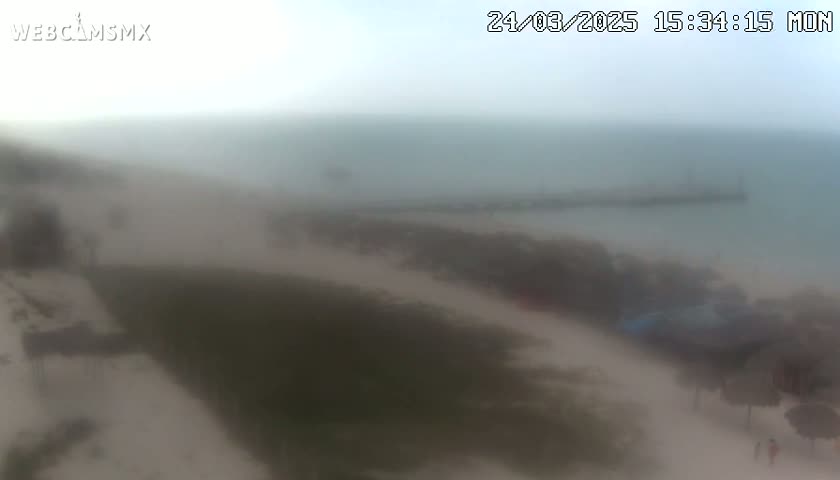 A hazy, overcast day reveals a beach with vegetation and a pier extending into a calm body of water.