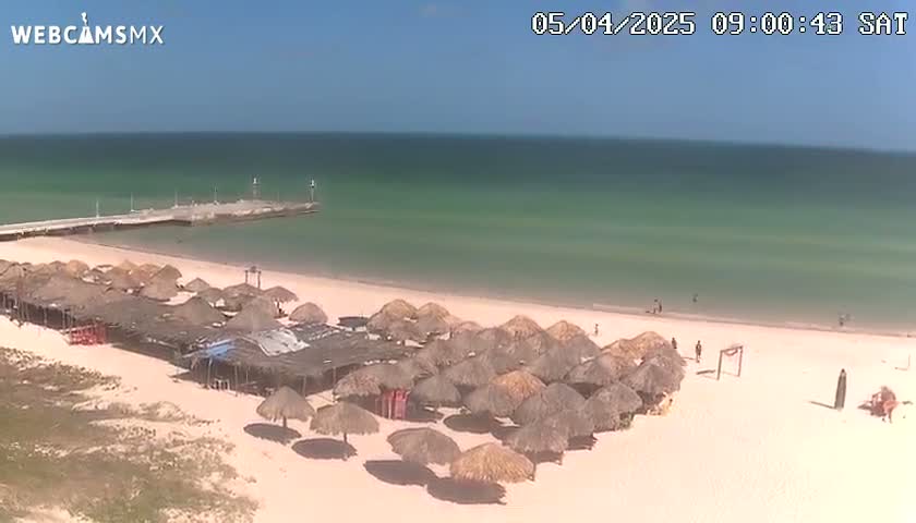 A sandy beach with numerous thatched umbrellas and a pier extends into a calm, light-green ocean under a clear blue sky.