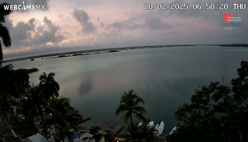 A tranquil body of water at dawn, partially clouded, is seen from an elevated vantage point overlooking palm trees and docked sailboats.