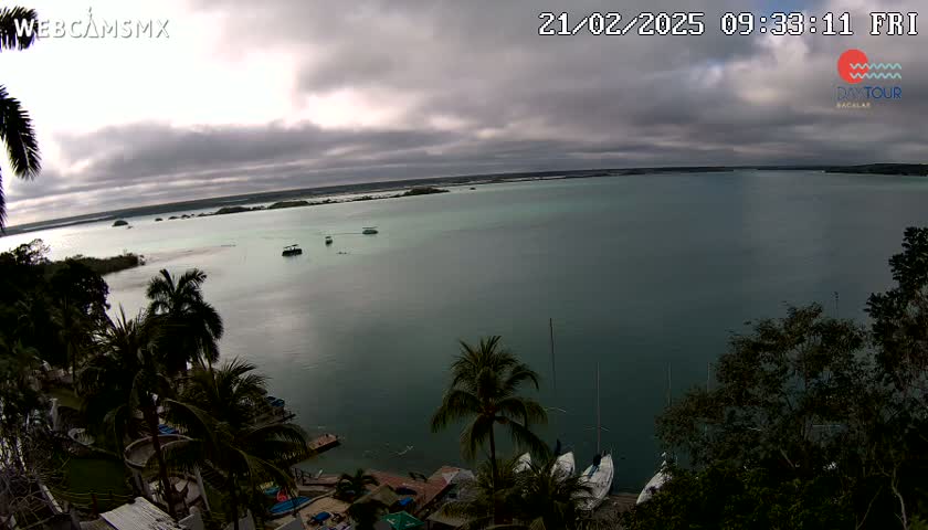 An overcast sky hangs over a calm body of teal water dotted with a few small boats and sailboats near a shoreline lined with palm trees and tropical vegetation.