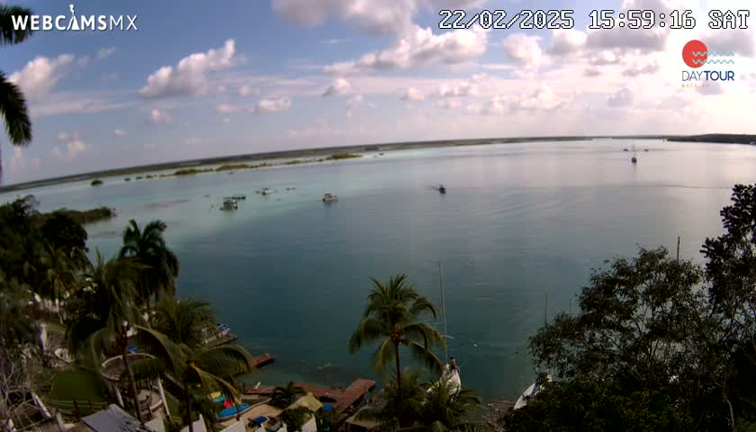 A tranquil, partly cloudy day overlooks a calm body of water dotted with boats, surrounded by lush green palm trees and vegetation.
