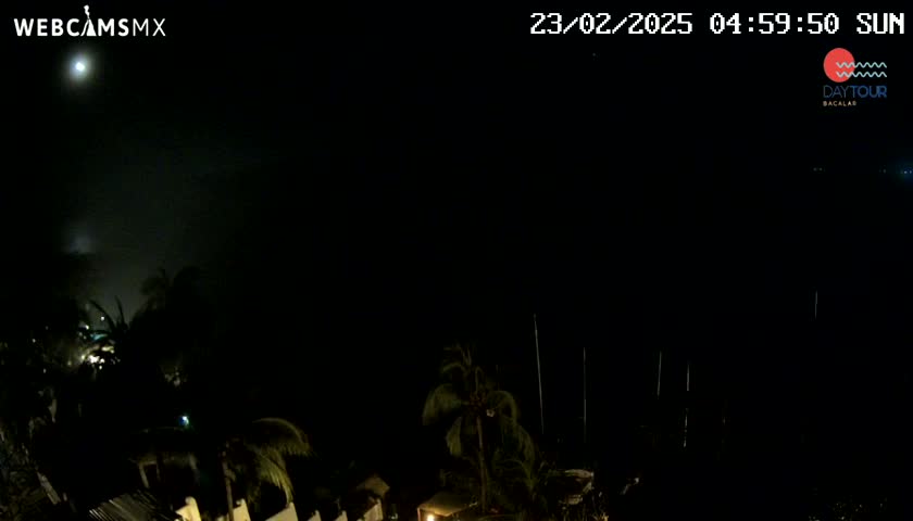 A nighttime, hazy view shows a moonlit scene of dark palm trees and buildings.