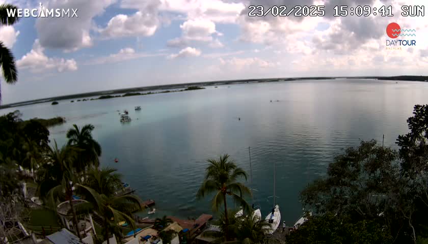 A partly cloudy sunny day overlooks a calm body of water with several boats and tropical vegetation along the shoreline.