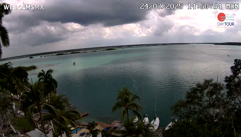 An overcast sky hangs over a calm body of teal water, where several sailboats are moored near a lush, tropical shoreline.