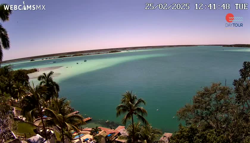 A tranquil turquoise body of water stretches to the horizon under a clear blue sky, bordered by lush green vegetation and palm trees.