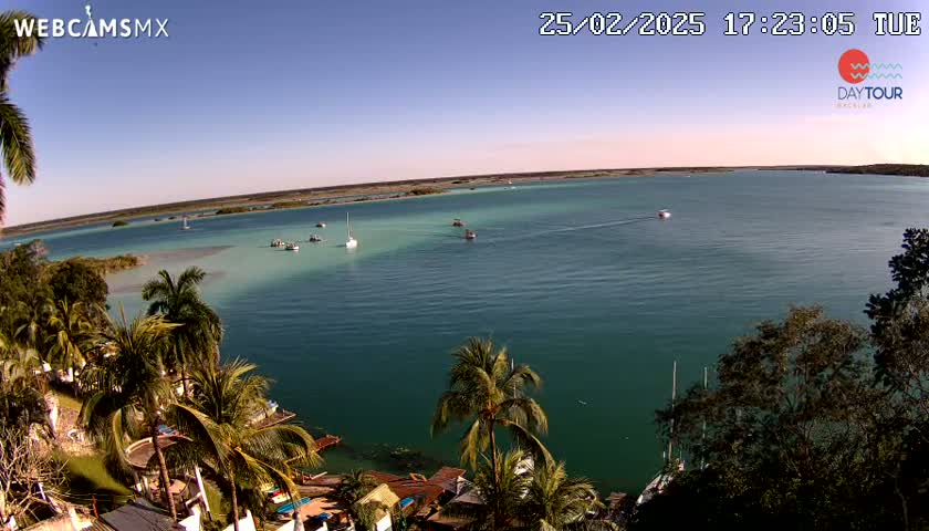 A tranquil teal-colored body of water dotted with boats is seen from an elevated vantage point, with palm trees and vegetation in the foreground under a clear, sunny sky.