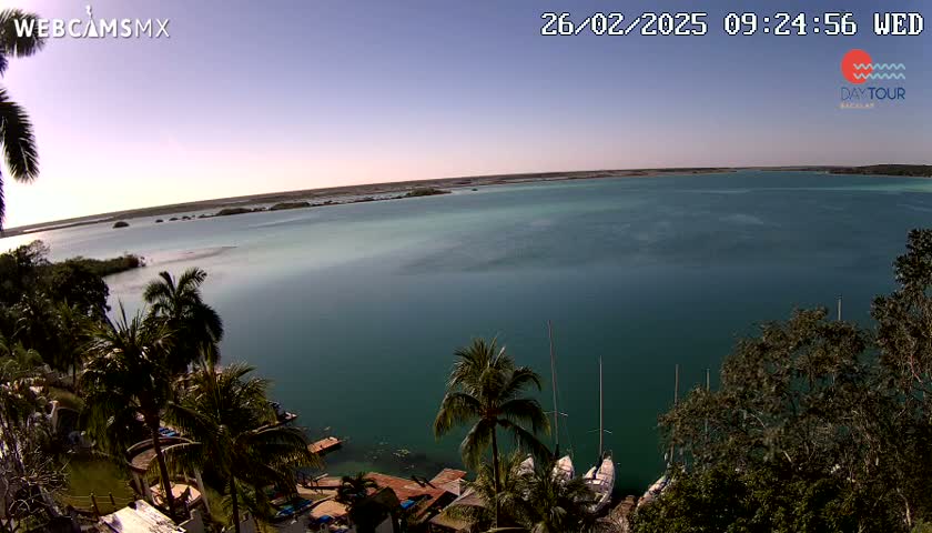 A tranquil teal-colored body of water is seen from an elevated vantage point, under a clear sky, with palm trees and docked sailboats visible in the foreground.