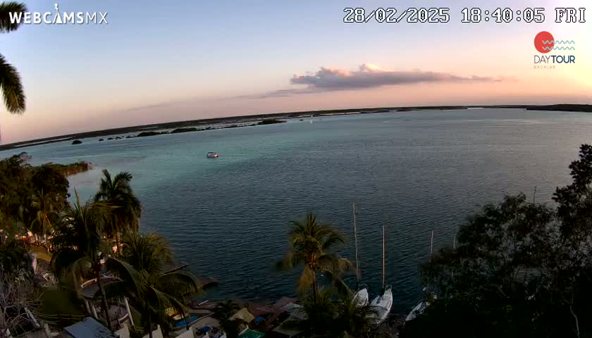 A tranquil sunset over a calm bay, with palm trees lining a shoreline and sailboats moored near a waterfront.