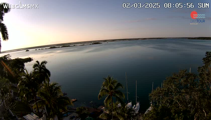 A calm body of water at sunrise is viewed from a high vantage point, showing palm trees and several sailboats docked along the shoreline.