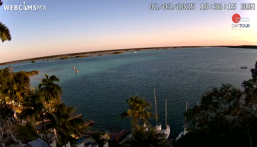 A tranquil body of water at sunset, bordered by palm trees and docked sailboats, under a clear sky.
