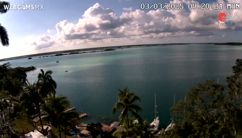 A partly cloudy day overlooks a calm, teal-colored body of water with several boats and palm trees along a shoreline.