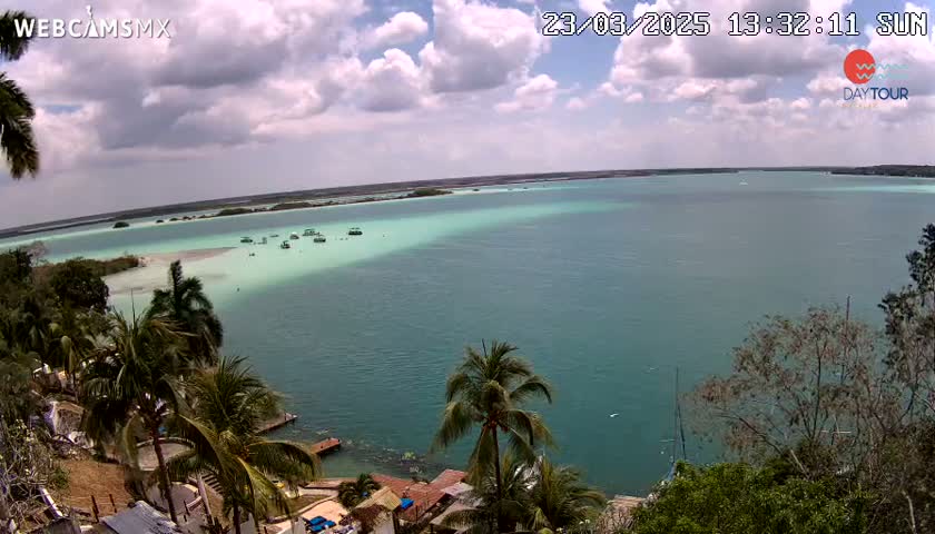 A partly cloudy sunny day overlooks a teal-green body of water with several boats and a shoreline with palm trees.