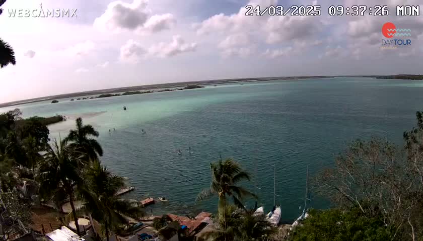 An elevated view shows a partly cloudy day over a calm teal body of water with several people paddleboarding and sailboats docked near a shoreline of palm trees and vegetation.