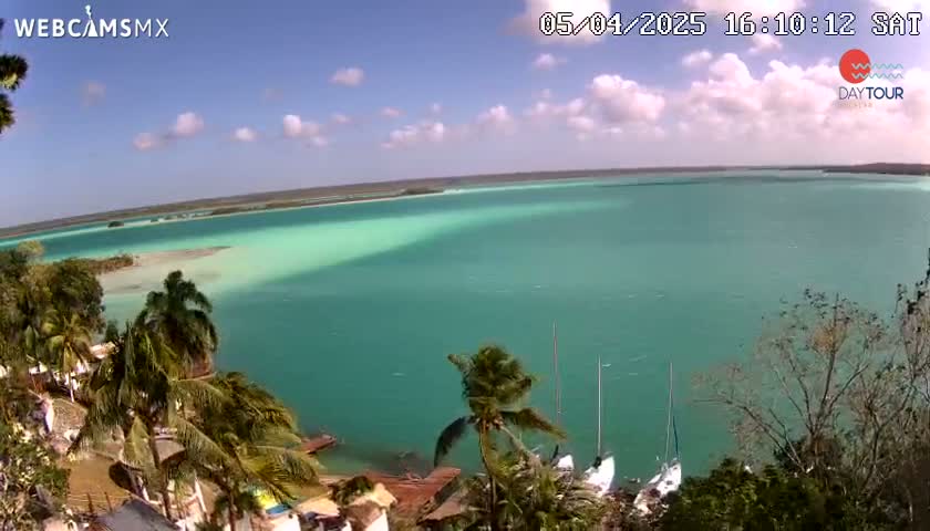 A bright, sunny day shows a large body of clear, turquoise water with several sailboats anchored near a palm tree-lined shore.